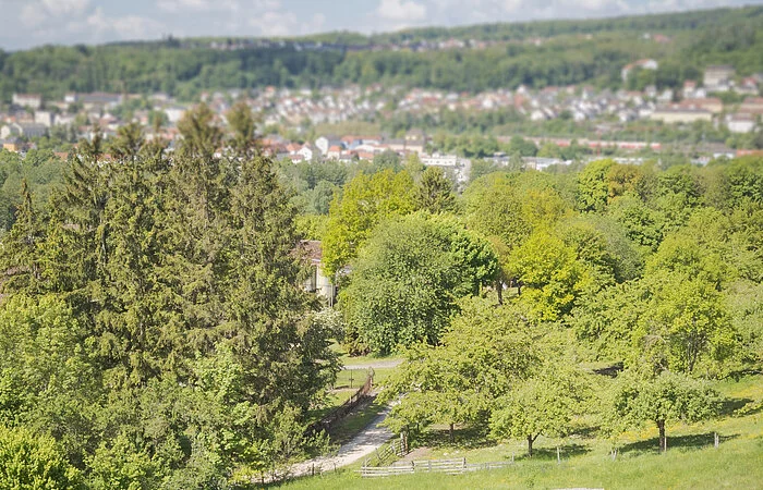 Luftaufnahme der villa rustica und im Hintergrund die Stadt Treuchtlingen