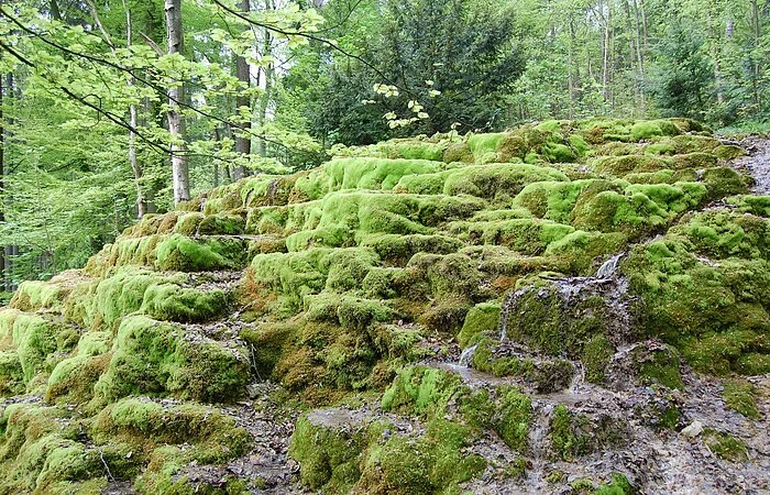 Hoher Brunnen bei Berching