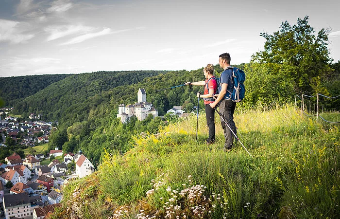 Blick auf Burg Kipfenberg und Kipfenberg vom Michelsberg 1