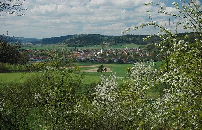 Sommerleite - Blick auf Dietfurt