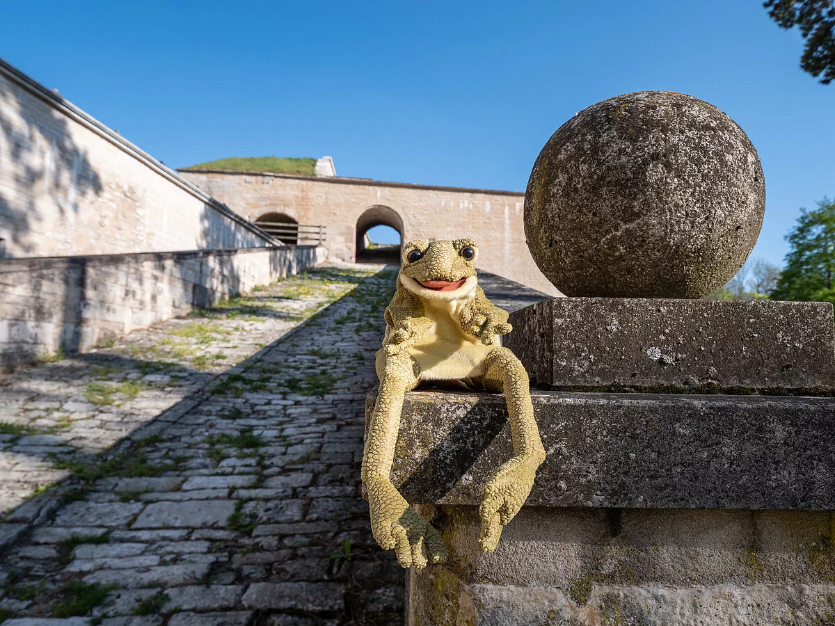 Kinderführung "Pippin aus dem tiefen Brunnen"