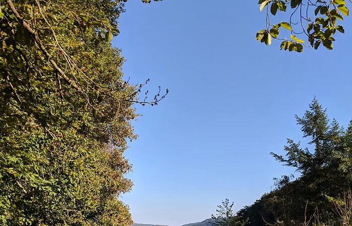 Landschaftsaufnahme mit Blick auf Main-Donau-Kanal