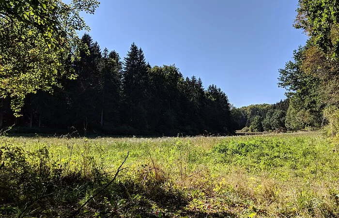 Landschaftsaufnahme bei Riedenburg