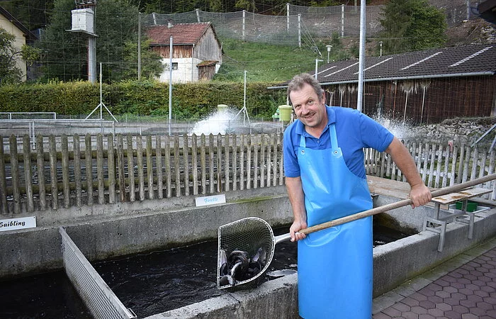 Forellenzucht Lang_Frischer Fisch