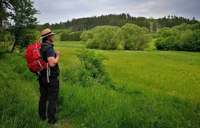 Wallfahrerweg bei Greding