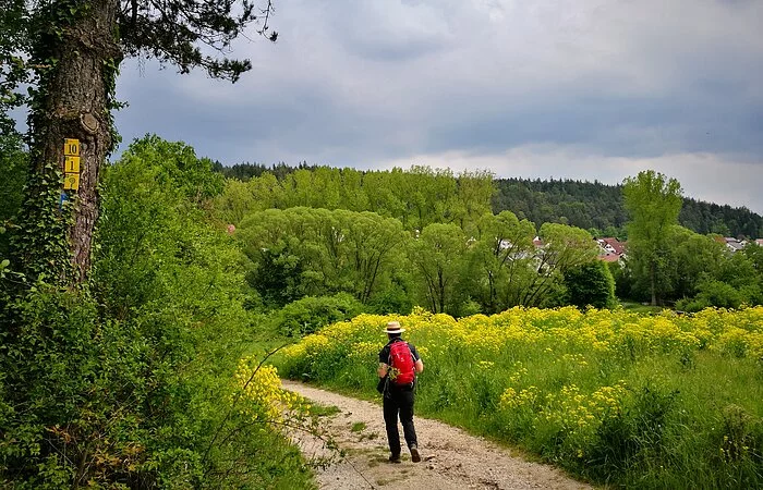 Wallfahrerweg bei Greding