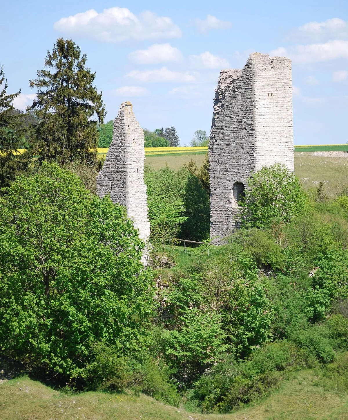 Die Ruine Bechthal