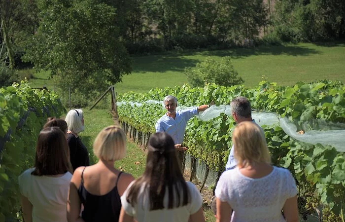 Weinseminar in Neuburgs Weinberg