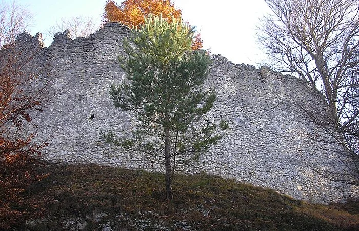 Ruine Rundeck bei Erlingshofen