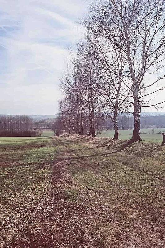 Steinwall der Limesmauer Wp. 15/46 in Hienheim bei Neustadt