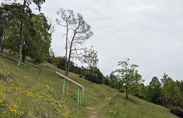 Station auf dem Klangweg Riedenburg