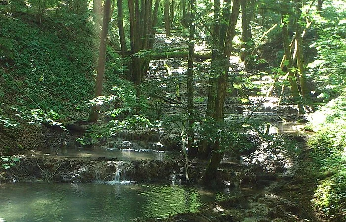 Kalktuffkaskaden bei Holnstein