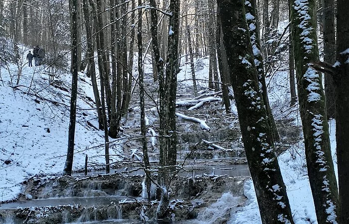 Kalktuffkaskaden bei Holnstein