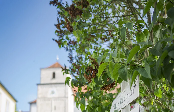 Wanderer bei Bergen (Neuburg/Donau)