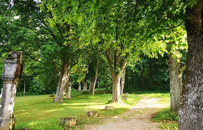 Wallfahrerweg bei Dietfurt