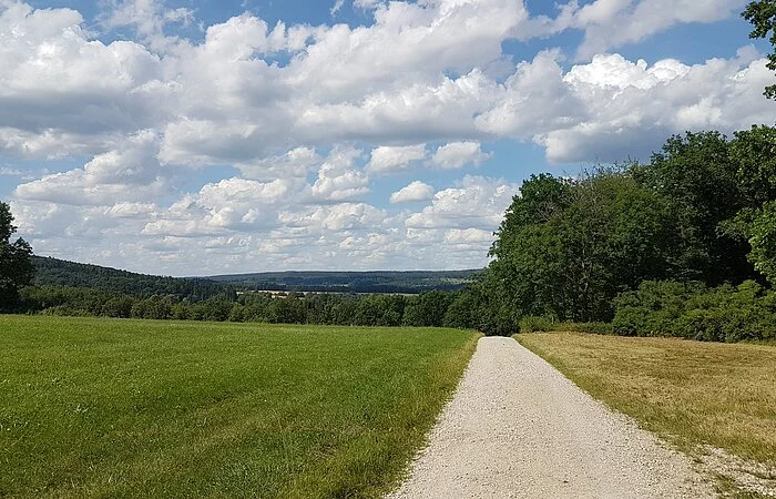 Wanderweg 2 Mörnsheim der Weg