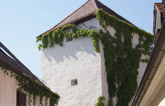 Sauhüterturm im Sommer