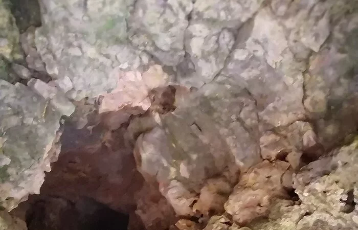 Mammuthöhle Buchenhüll innen 2