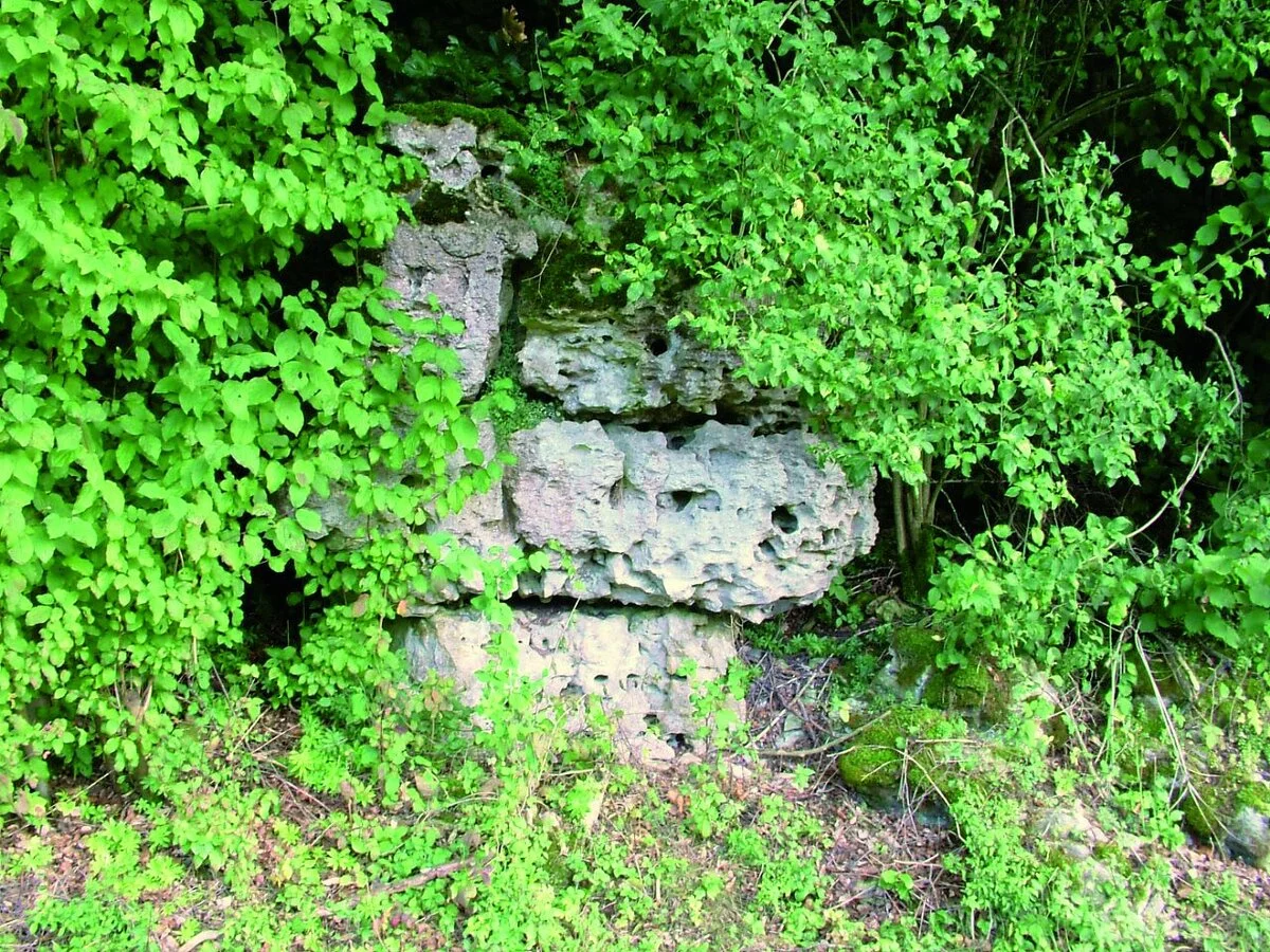 Ein schönes Beispiel für Verkarstung: Der Kalkfels zeigt deutlich, wie sich das Phänomen der Kalklösung auf den Stein auswirkt