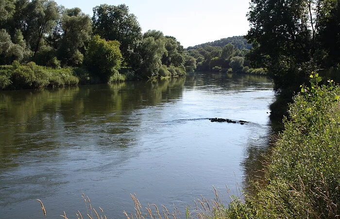 Donau bei Altisheim