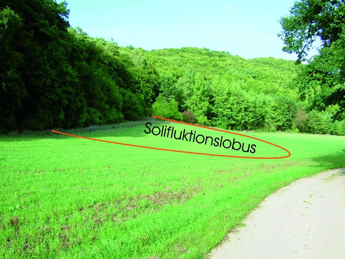 Solifluktionslobus