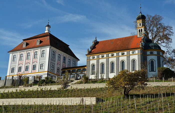 Weinberg des Schloss Leitheim