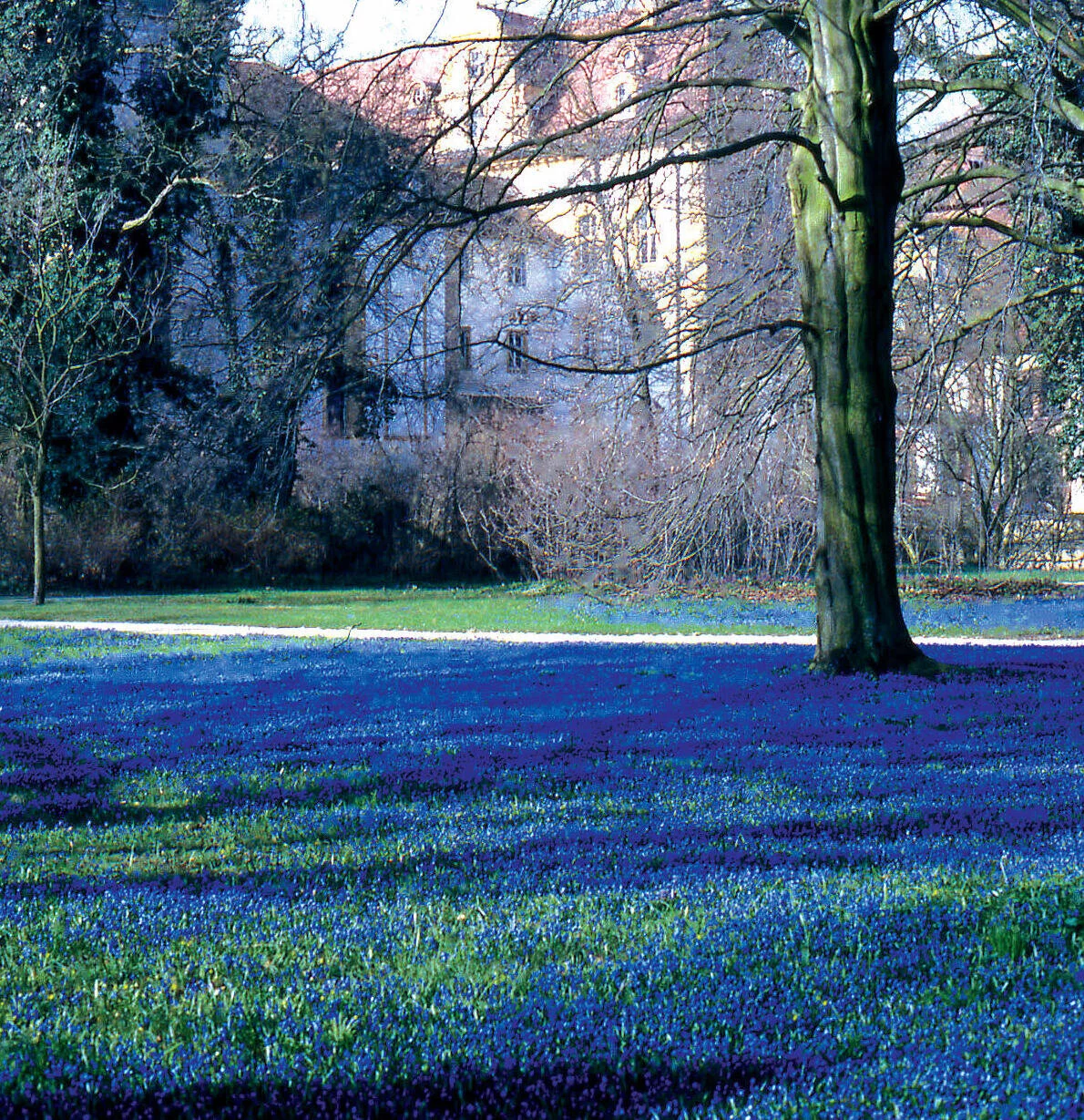 Schloßpark Ellingen