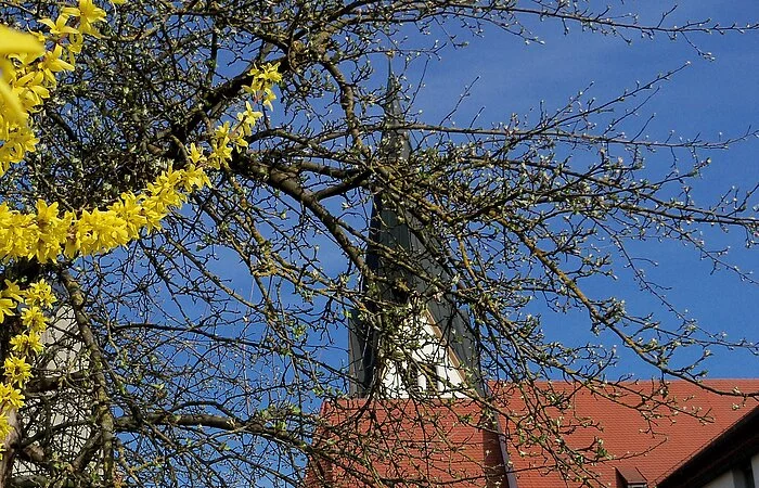 Kirche Mindelstetten