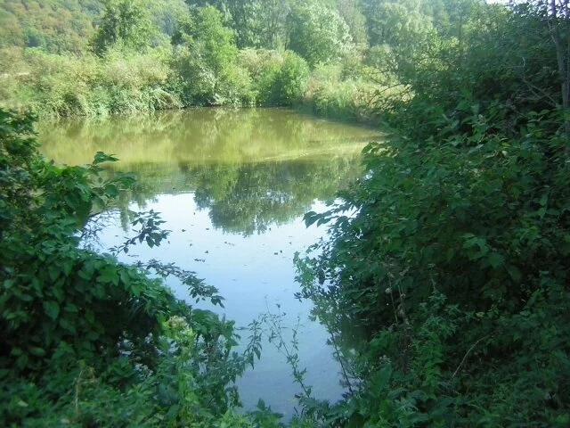 Der Torfweiher bei der Feldmühle