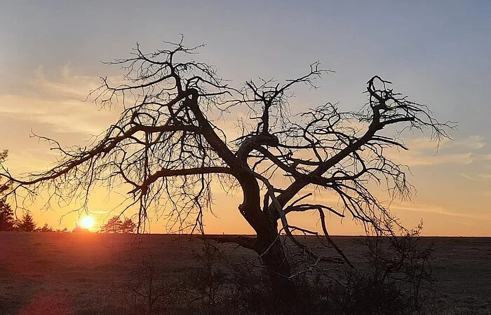 Sonnenuntergang am Mähhorn