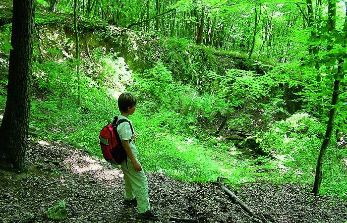 Sandgrube aus der Kreidezeit