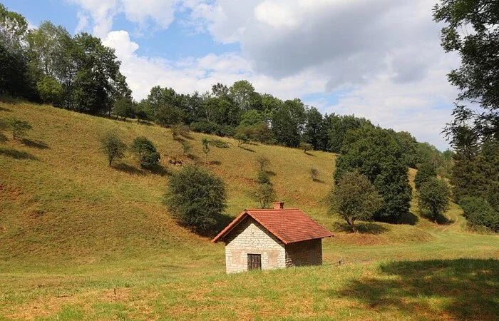 Imkerei Schmidt Trockenwiese