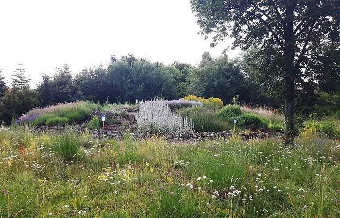 Blick auf die Kräuterspirale - Lehrbienenstand mit Bienenweide Monheim