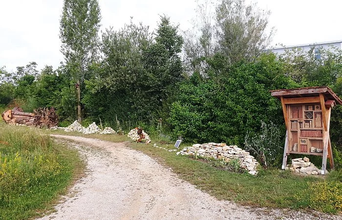 Gartenstrukturen - Lehrbienenstand mit Bienenweide Monheim