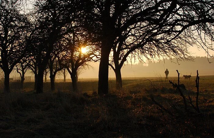 Sonnenaufgang bei Pietenfeld