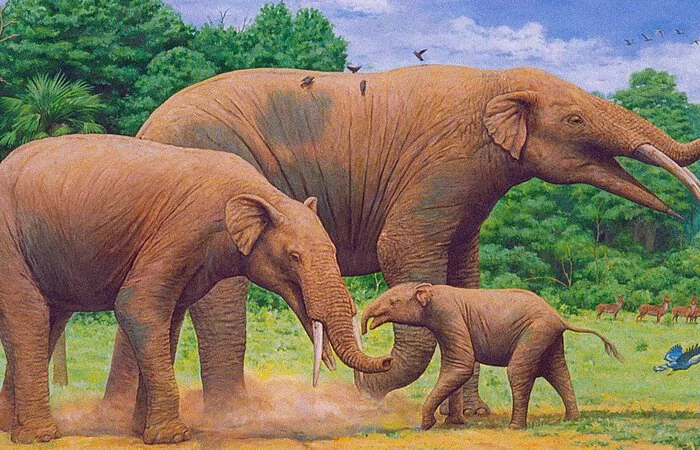 Lebensbild einer Gomphotherium-Familie (Wenzel Balat mit freundlicher Genehmigung der Bayerischen Staatssammlung für Paläontologie und Geologie)