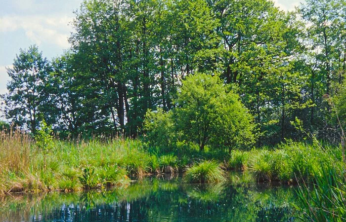 Glessbrunnen Wolkertshofen