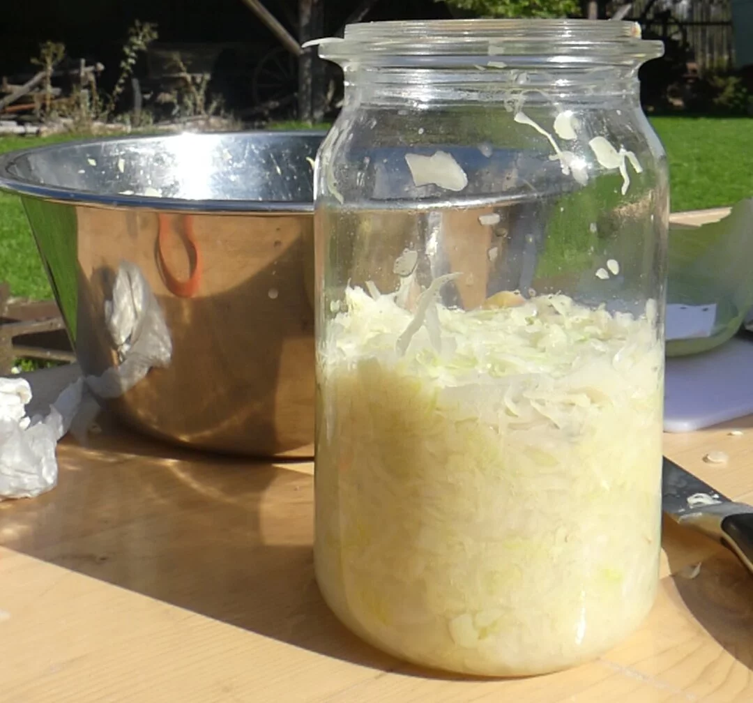 Weckglas mit fermentierten Sauerkraut