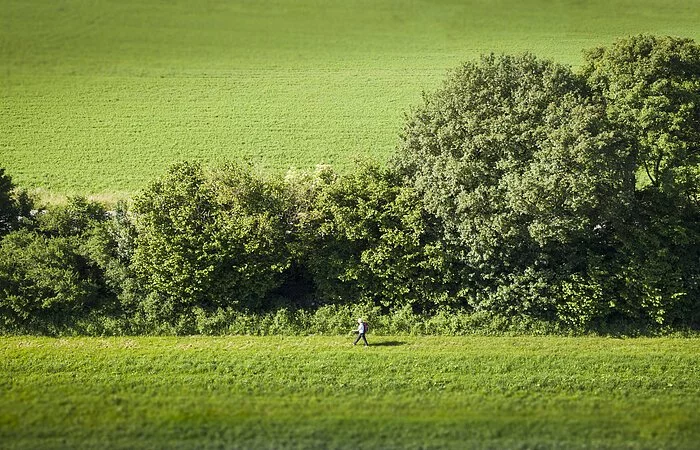 Limes-Wanderweg