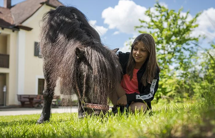 Grasendes Pony und kniendes Mädechen. Im Hintergrund ein Bauernhof und ein großer Baum