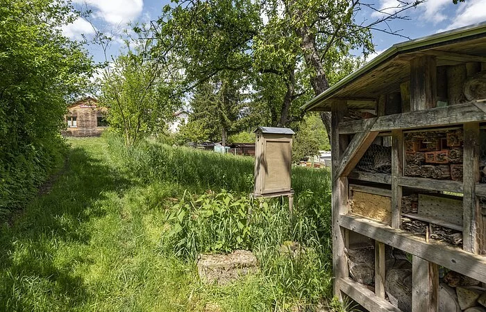 Lehrbienenstand