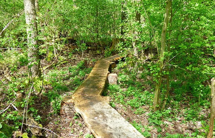 Erlebnislehrpfad Schuttermoos in Buxheim