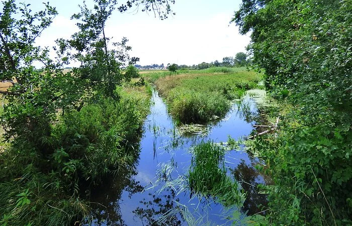 Erlebnislehrpfad Schuttermoos in Buxheim