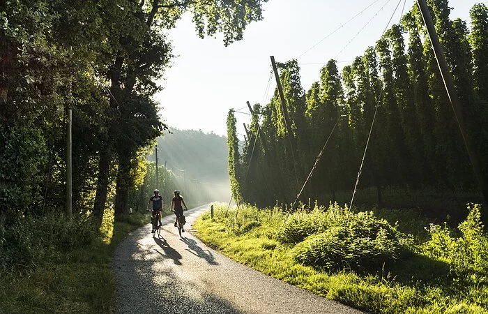 Radfahrer im Hopfenland Hallertau @Anton Mirwald