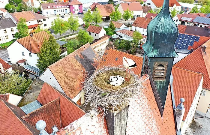 Die drei Strochenkinder auf dem Oberen Torturm Monheim am 17.05.2021