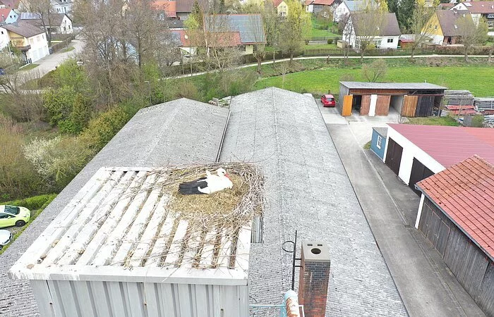 Das Storchennest auf dem Sägemehlbunder der Firma Gerstner in Monheim