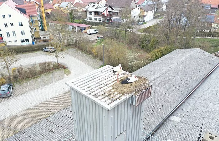 Ein neues Storchenpaar auf dem Gerstner Sägespanbunker (18.04.2021)