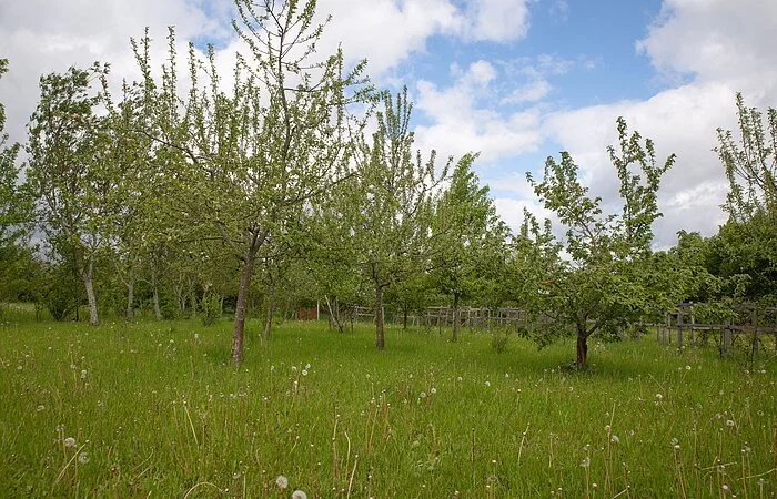 Waldpark am Heidebrünnl