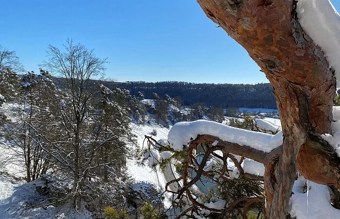 Die 12 Apostel bei Solnhofen im Winter