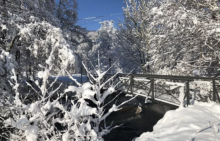 Dolungbrücke